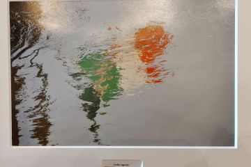 Sfoglia la galleria